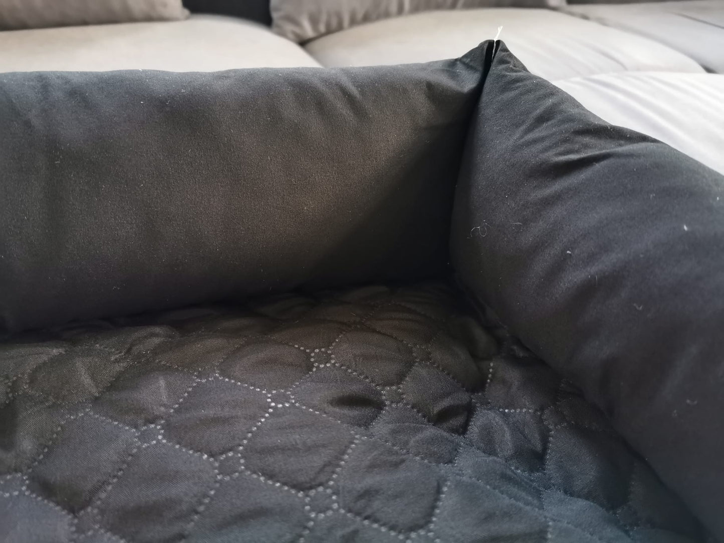 Jokoland | Sofakissen für Hunde und Katzen