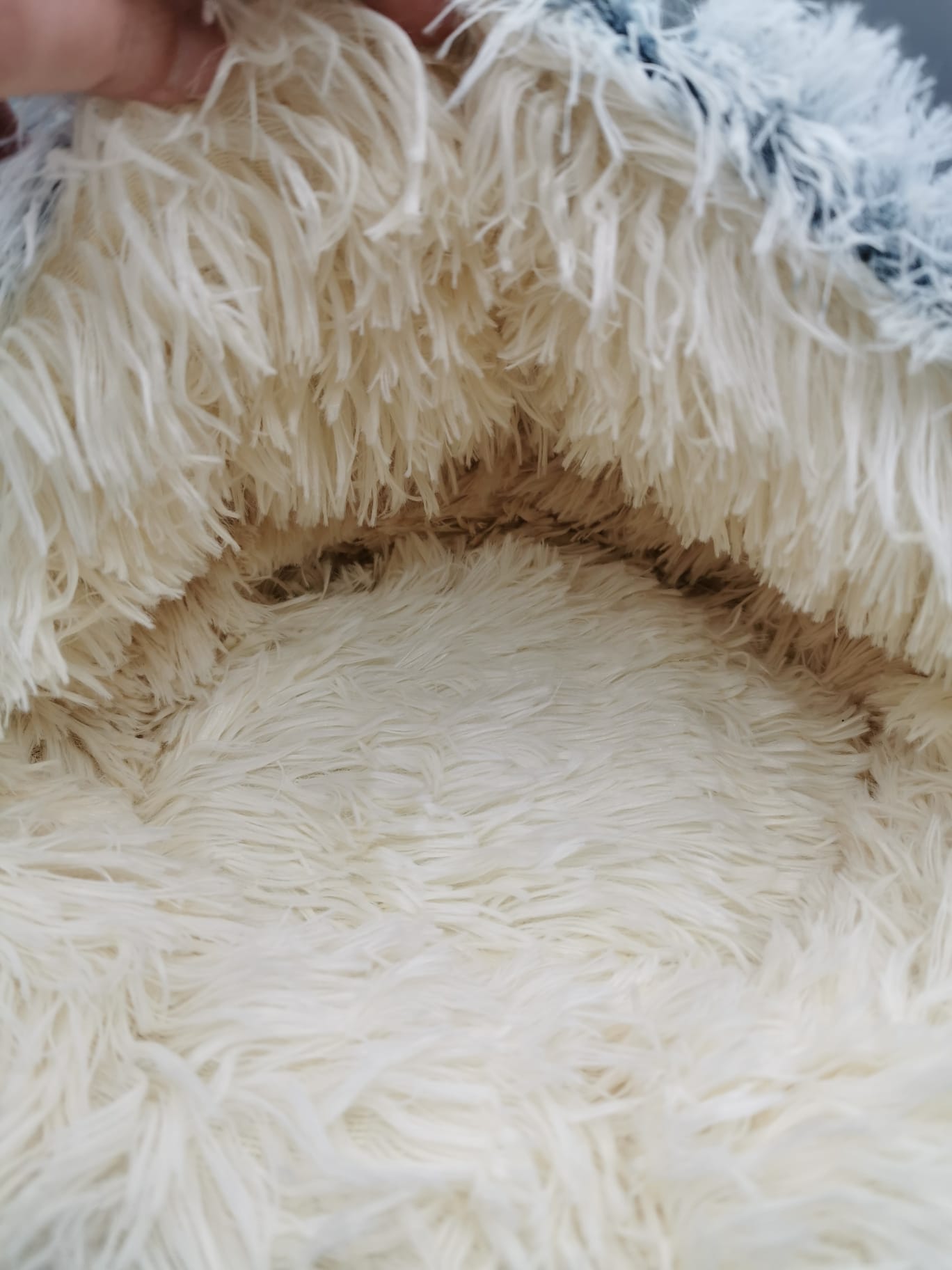 Jokoland | Geschlossenes Katzenkörbchen