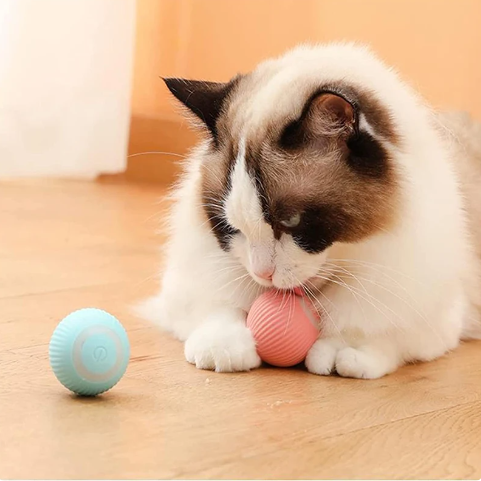 Jokoland | Beweglicher Katzenball